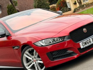 /photos/12396/948a6329-2ec2-4a12-9f7e-53f01ef8fafc_i320x240.jpg